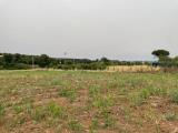 Particella, VITERBO, <i>A richiesta</i>, 3000,00 mq