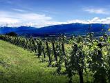 Particella, LAVIS, 850.000 €, 1478,00 mq