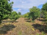 Particella, NOCERA INFERIORE, 90.000 €, 4000,00 mq
