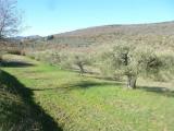 Particella, PANICALE, 80.000 €, 30000,00 mq