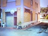 Superfici commerciali, FROSINONE, 110.000 €, 100,00 mq