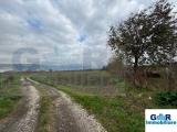 Particella, SAN VITALIANO, 395.000 €, 44400,00 mq