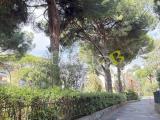 Appartamento, BORDIGHERA, 249.000 €, 86,00 mq