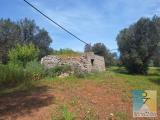 Particella, SAN VITO DEI NORMANNI, 80.000 €, 24020,00 mq
