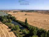 Particella, CAPALBIO, 800.000 €