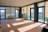 Affitto, Superfici commerciali, VIAREGGIO, 1.500 €, 120,00 mq