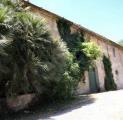 Particella, COLLESALVETTI, 2.300.000 €, 3500,00 mq