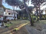 Appartamento, ROSOLINA, 175.000 €, 65,00 mq