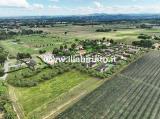Particella, FAENZA, 255.000 €, 1716,00 mq
