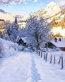 Appartamento, TRENTO, <i>A richiesta</i>, 50,00 mq