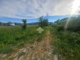 Particella, QUARRATA, 335.000 €