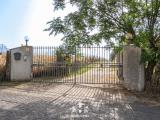 Particella, MARINO, 80.000 €, 20000,00 mq
