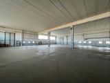 Superfici commerciali, CORTENUOVA, 750.000 €, 1510,00 mq