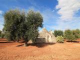 Particella, OSTUNI, 133.000 €, 50,00 mq