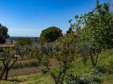 Particella, CASALE MARITTIMO, 130.000 €, 4700,00 mq