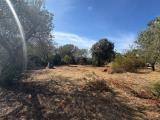 Particella, SASSARI, 75.000 €, 658,00 mq