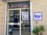 Superfici commerciali, SASSARI, 60.000 €, 28,00 mq