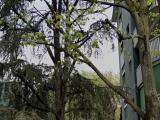 Appartamento, MILANO, 240.000 €, 76,00 mq
