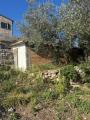Particella, AMELIA, 20.000 €, 600,00 mq