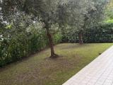 Appartamento, CORINALDO, 205.000 €, 120,00 mq