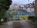 Particella, PERUGIA, 29.000 €, 10000,00 mq
