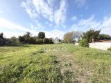 Particella, SAN CESAREO, 43.000 €, 4000,00 mq