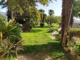 Casa, TAGGIA, 650.000 €, 365,00 mq