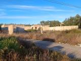Particella, BITONTO, 150.000 €, 4000,00 mq