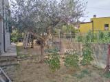 Appartamento, MONTELABBATE, 220.000 €, 156,00 mq