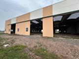 Superfici commerciali, CERTOSA DI PAVIA, 1.100.000 €, 1140,00 mq