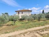 Particella, MONTEPULCIANO, 860.000 €, 47000,00 mq