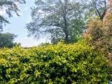 Appartamento, MONCALIERI, 269.000 €, 127,00 mq