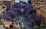 Appartamento, CAGLIARI, <i>A richiesta</i>, 280,00 mq