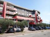 Affitto, Superfici commerciali, MONTALTO UFFUGO, 900 €, 94,00 mq