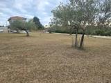 Particella, COLLECORVINO, 47.000 €, 1366,00 mq