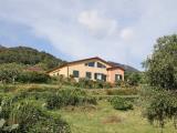 Appartamento, MARCIANA, 440.000 €, 194,00 mq