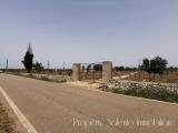 Particella, UGENTO, 57.000 €, 22500,00 mq