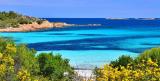 Affitto, Appartamento, OLBIA, 2.000 €, 44,00 mq
