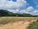Particella, SAN VITO, 50.000 €, 45000,00 mq