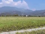 Particella, SCHIO, 195.000 €, 24440,00 mq