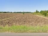 Particella, LATINA, 22.000 €, 12362,00 mq