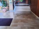 Affitto, Superfici commerciali, FROSINONE, <i>A richiesta</i>, 18,00 mq