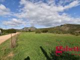 Particella, OLBIA, 50.000 €, 15000,00 mq