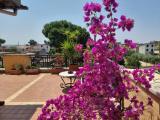 Appartamento, GUIDONIA MONTECELIO, 149.000 €, 117,00 mq