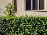 Appartamento, FIRENZE, 279.000 €, 63,00 mq
