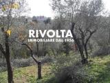 Particella, LERICI, 168.000 €, 1400,00 mq