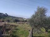 Particella, MENTANA, 29.000 €, 4100,00 mq