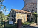 Particella, MANCIANO, 20.000 €, 2500,00 mq