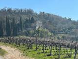 Casa, VERONA, 890.000 €, 700,00 mq