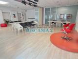 Superfici commerciali, CECINA, 450.000 €, 370,00 mq